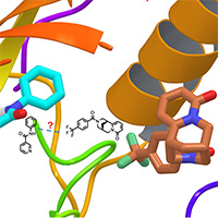 medicinal chemistry