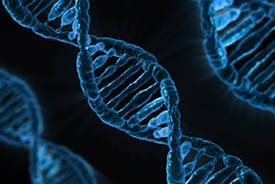 dna