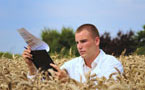 young researcher