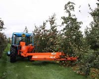 apple harvest