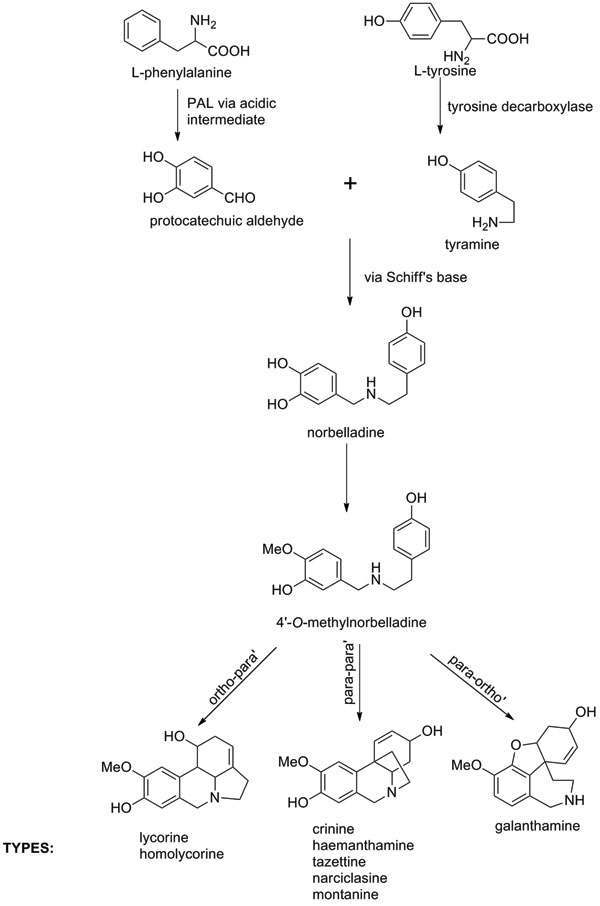SCI Drugs from DAFFODILS