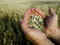 Scanning Agricultural Horizon