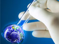 Opportunities for Enhancing Your Business with Green Chemistry