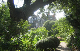 Chelsea Physic Garden