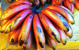 red bananas