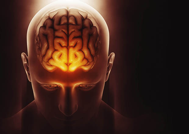 Despite Dearth Of Data Firms Sell Brain >> Society Of Chemical Industry Mini Brains Despite Dearth Of Data Firms Sell Brain >> Society Of Chemical Industry Mini Brains