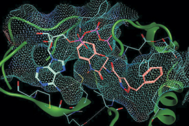 Kinase 2018: towards new frontiers - 8th SCI / RSC symposium on kinase inhibitor design Monday 14 - Tuesday 15 May 2018