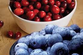 Food Antioxidants and Functional Ingredients Wednesday 7 - Thursday 8 March 2018