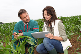 Turning Data into Decisions in AgriFood Wednesday 22 November 2017