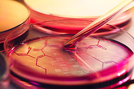 What Medicinal Chemists need to know about Biology 24 May 2017
