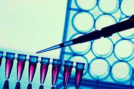 What Medicinal Chemists need to know about Biology II Thursday 27 September 2018