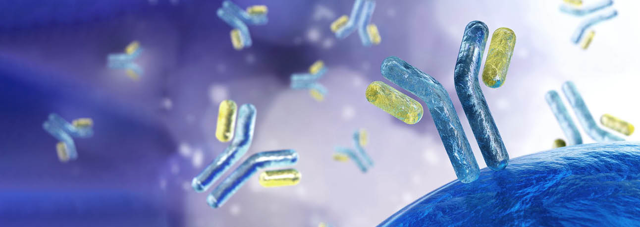Antibody illustration image