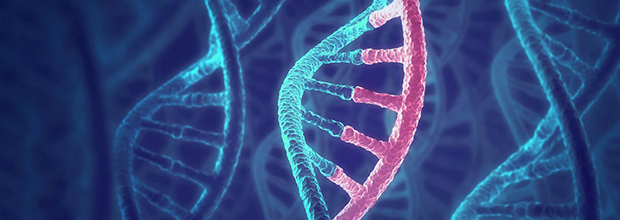 Antigen illustration image