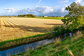 Edge of Field water flow
