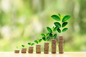Investment growth in agriculture