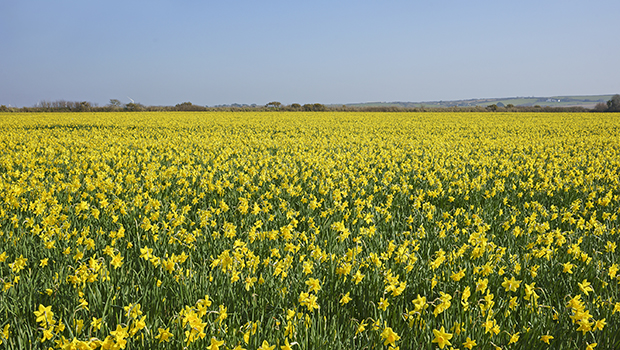 agroceuticals 2