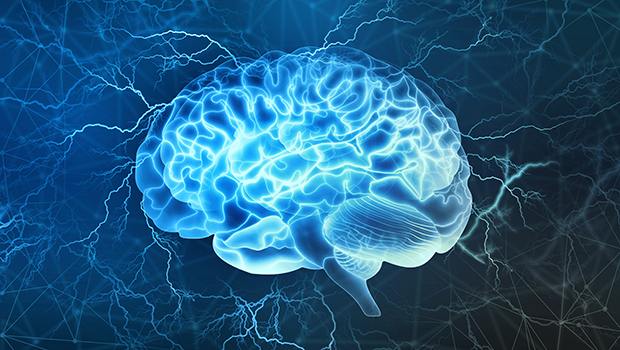 alzheimers brain