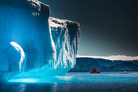 Marine species in the Antarctic face climate change threat