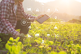 smart agriculture