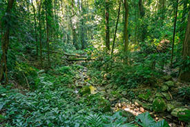 Biodiversity