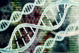 human microbiome