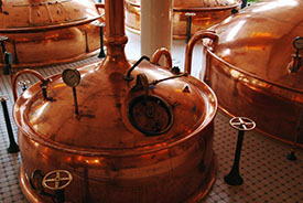 beer brewing