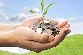Hand holding a plant and money