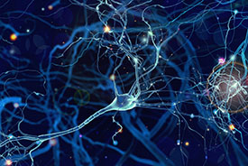 brain connection