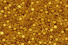 Colloid AFM Tapping