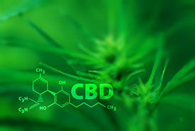 CBD