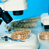 Crop Research