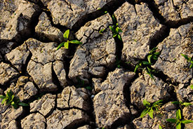 Dry soil