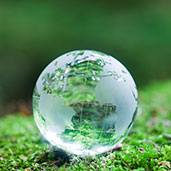 globe on mossy rock
