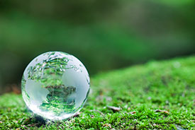 Glass globe on grass