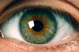 eye