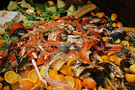 1.3 billion tonnes of food is wasted globally per year