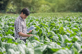 Smart farm data