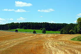 farmland