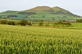 farmland