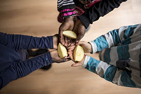 Food security