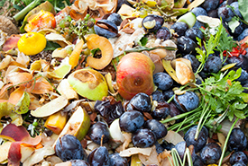 Food waste