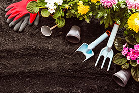 garden soil