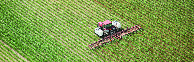 Highlights Herbicide Discovery