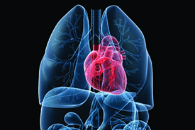 heart scan
