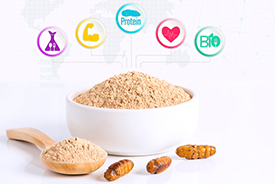Healthy insect snacks
