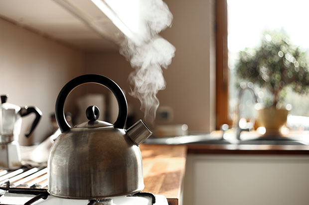 kettle
