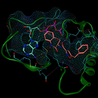 Kinase 2016