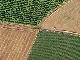Land
