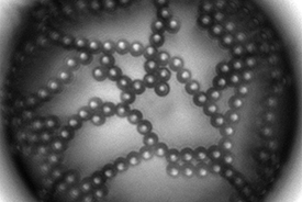 McBain Medal Meeting 2018 - Making and breaking colloidal assemblies: using chemical, physical, and mechanical stimuli to control soft matter Tuesday 11 December 2018