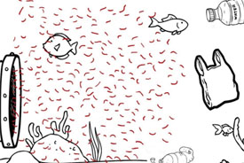 Microplastics: illustration adapted from the Story of Stuff Project